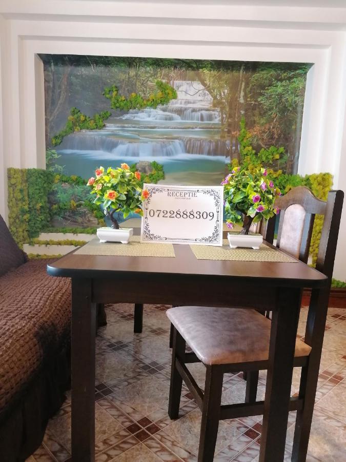 Hotel Casa Poenaru Kimpulung Mołdawski Zewnętrze zdjęcie